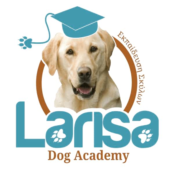 Larisa Dog Academy